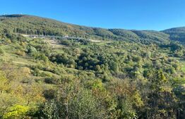 Casa tip anexa in SU 72 mp construita in extravilan la poalele Mesesului