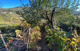 Casa tip anexa in SU 72 mp construita in extravilan la poalele Mesesului