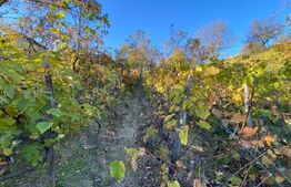 Casa tip anexa in SU 72 mp construita in extravilan la poalele Mesesului