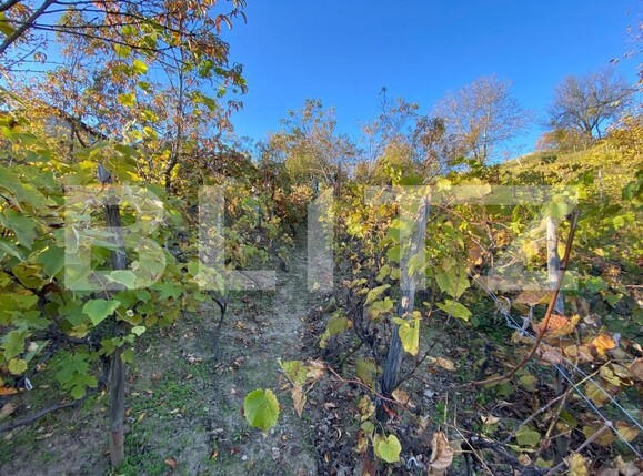 Casa de vânzare 2 camere Exterior-Sud - 160043CV | BLITZ Zalău | Poza14