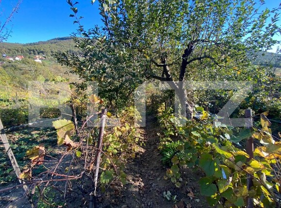 Casa de vânzare 2 camere Exterior-Sud - 160043CV | BLITZ Zalău | Poza13