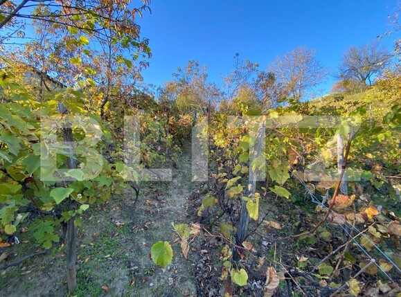 Casa de vânzare 2 camere Exterior-Sud - 160043CV | BLITZ Zalău | Poza15