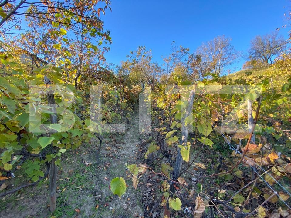 Casa de vânzare 2 camere Exterior-Sud - 160043CV | BLITZ Zalău | Poza14