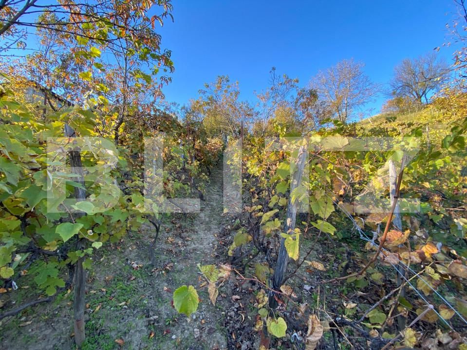 Casa de vânzare 2 camere Exterior-Sud - 160043CV | BLITZ Zalău | Poza12