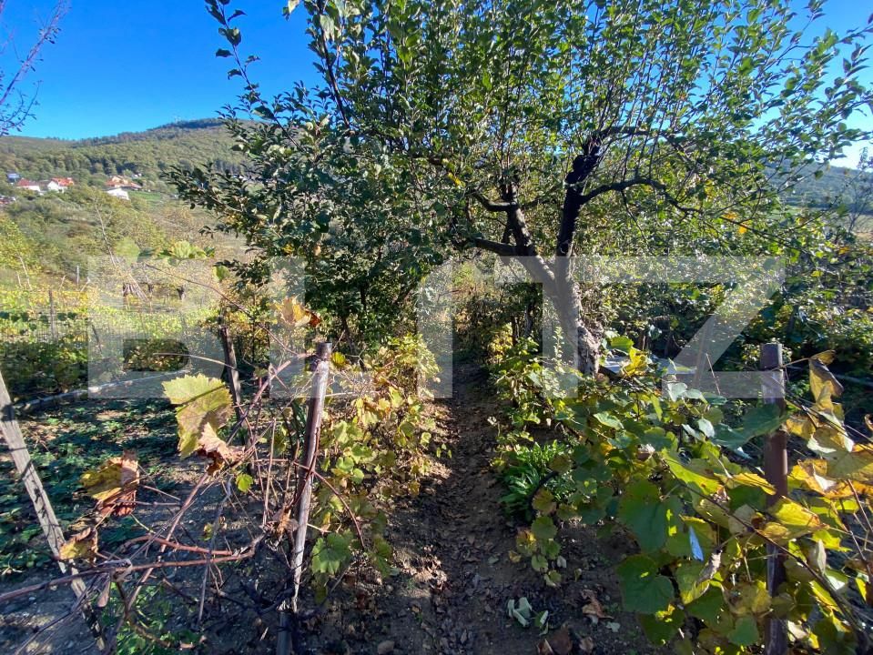 Casa de vânzare 2 camere Exterior-Sud - 160043CV | BLITZ Zalău | Poza13