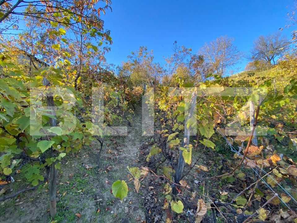 Casa de vânzare 2 camere Exterior-Sud - 160043CV | BLITZ Zalău | Poza15