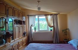 Apartament de 3 camere la vilă