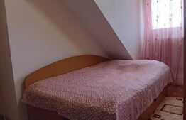 Apartament de 3 camere la vilă