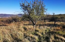 Teren intravilan zonă centrală livada SCPP 