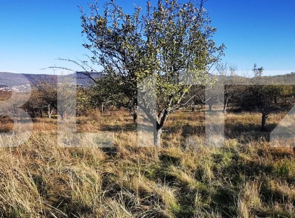 Teren de vânzare Sud-Vest - 160258TV | BLITZ Zalău | Poza3