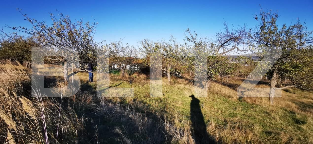 Teren de vânzare Sud-Vest - 160258TV | BLITZ Zalău | Poza2