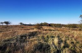 Teren intravilan str Cerbului 750 mp