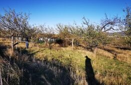 Teren intravilan str Cerbului 750 mp