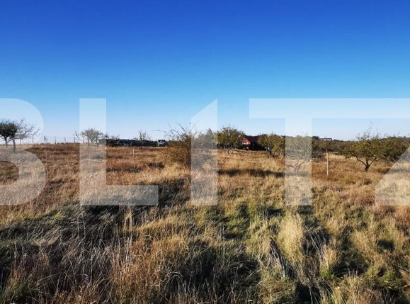 Teren de vânzare Sud-Vest - 160259TV | BLITZ Zalău | Poza1