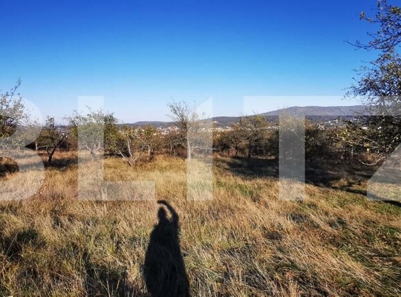 Teren de vânzare Sud-Vest - 160259TV | BLITZ Zalău | Poza2