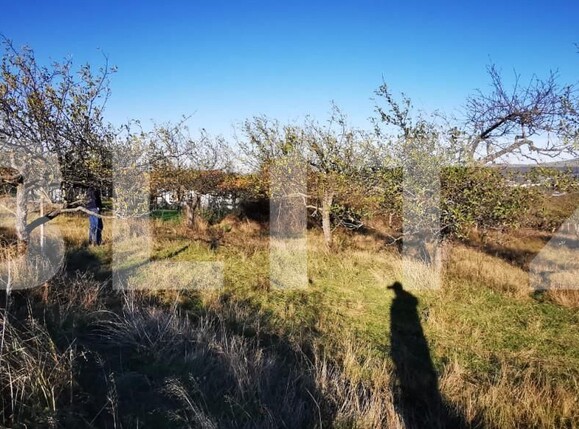 Teren de vânzare Sud-Vest - 160259TV | BLITZ Zalău | Poza3