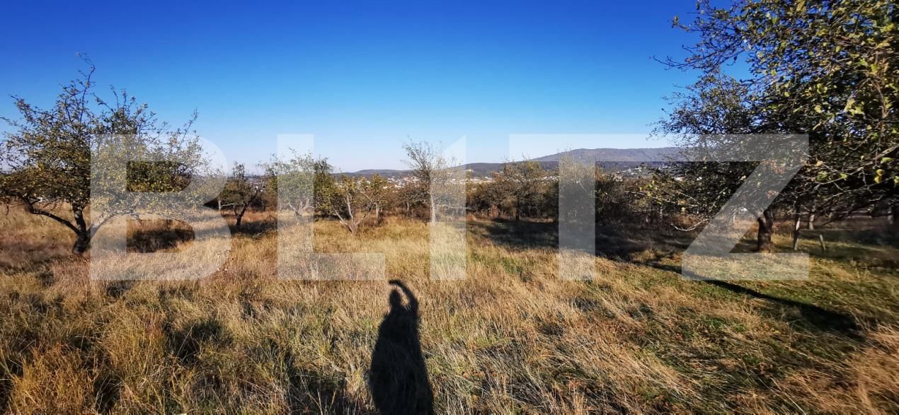 Teren de vânzare Sud-Vest - 160259TV | BLITZ Zalău | Poza2