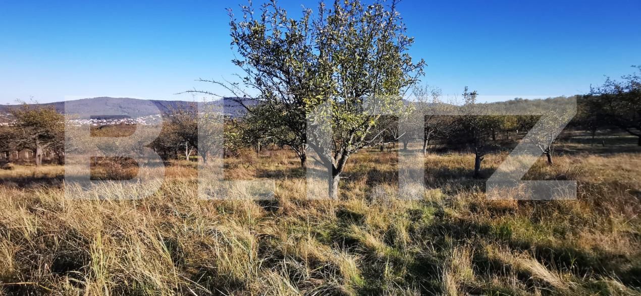 Teren de vânzare Sud-Vest - 160259TV | BLITZ Zalău | Poza4