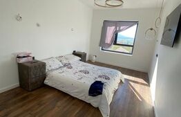 Apartament tip penthouse 96mp