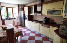 Vilă deosebită 280 mp, centru Zalău, eficientă energetic