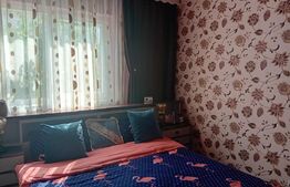 Apartament de 3 camere, zona Bradet