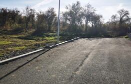 Teren intravilan cartier Sărmaș 1000 mp