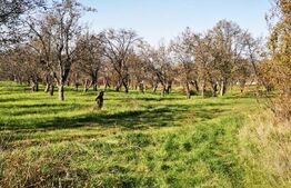 Teren intravilan cartier Sărmaș 1000 mp