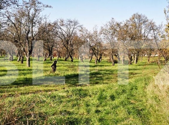 Teren de vânzare Est - 160623TV | BLITZ Zalău | Poza2