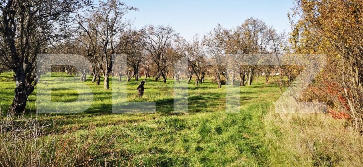 Teren de vânzare Est - 160623TV | BLITZ Zalău | Poza2