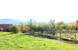 Teren intravilan central, Grădina Poporului, lângă Briliant 1024 mp