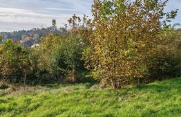 Teren intravilan central, Grădina Poporului, lângă Briliant 1024 mp