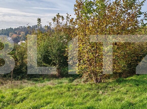 Teren de vânzare Central - 160625TV | BLITZ Zalău | Poza2