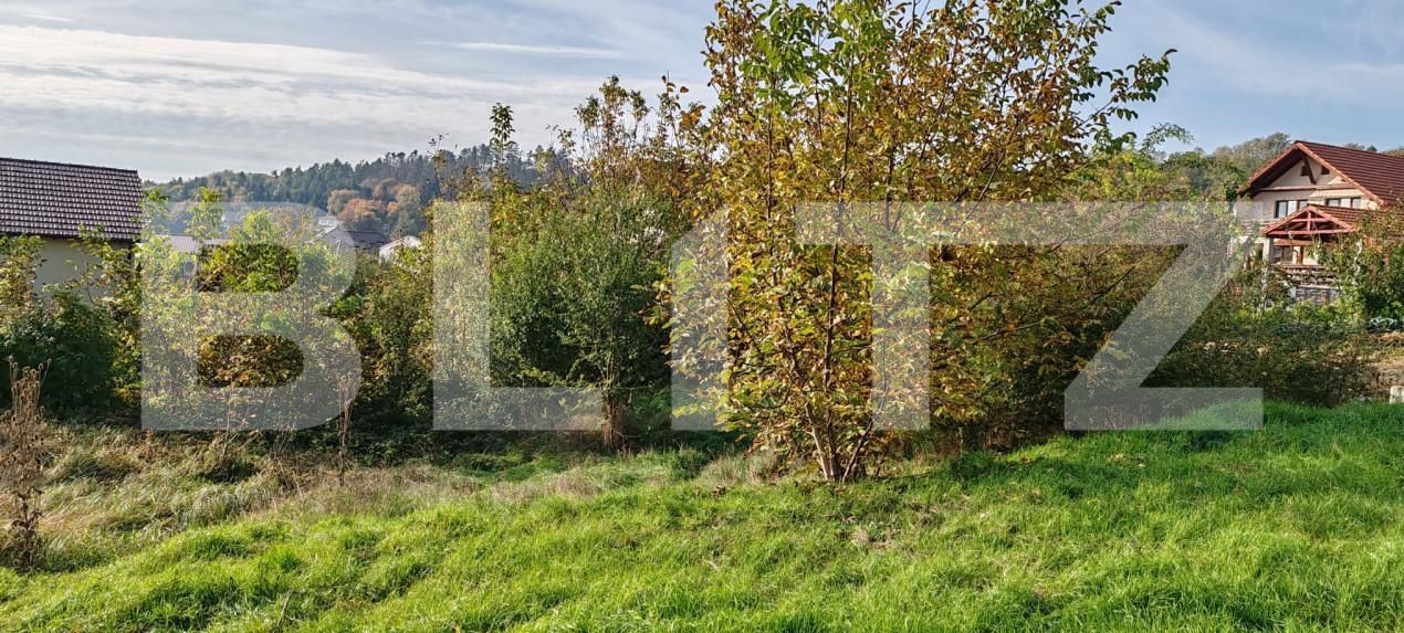 Teren de vânzare Central - 160625TV | BLITZ Zalău | Poza2