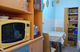 Apartament cu 2 camere la parter, zona Dumbrava