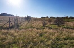 Teren intravilan strada Iașului în suprafata de 1220 mp