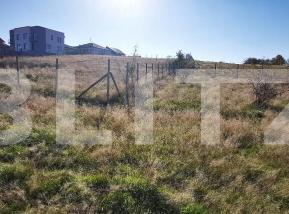 Teren de vânzare Dumbrava 2 - 160710TV | BLITZ Zalău | Poza3