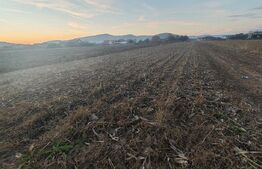 teren intravilan de vanzare