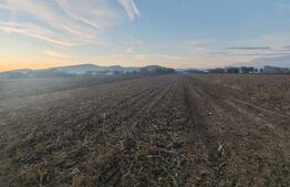 teren intravilan de vanzare