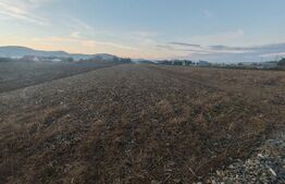 teren intravilan de vanzare