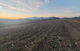 teren intravilan de vanzare