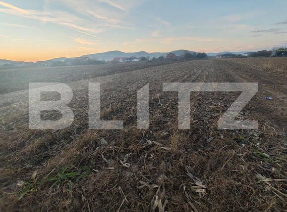 Teren de vânzare Jibou - 160825TV | BLITZ Zalău | Poza5