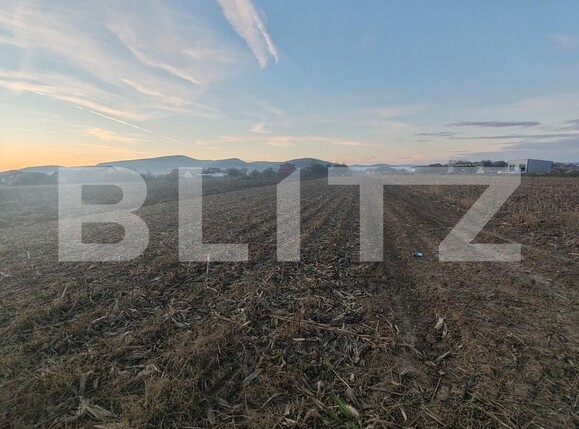 Teren de vânzare Jibou - 160825TV | BLITZ Zalău | Poza3