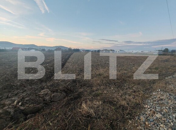 Teren de vânzare Jibou - 160825TV | BLITZ Zalău | Poza1