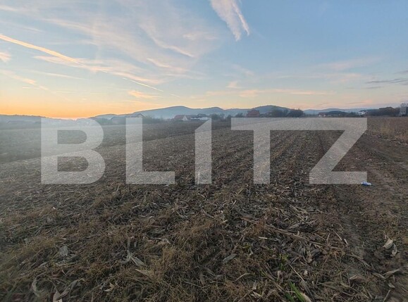 Teren de vânzare Jibou - 160825TV | BLITZ Zalău | Poza4