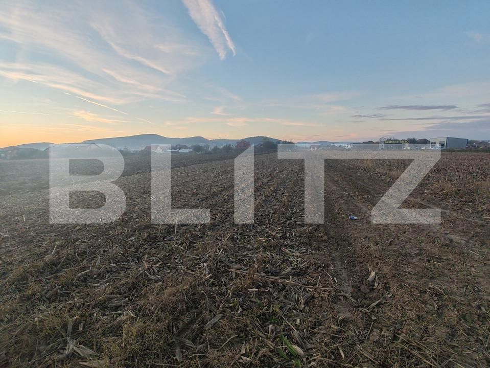 Teren de vânzare Jibou - 160825TV | BLITZ Zalău | Poza3
