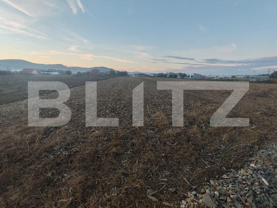 Teren de vânzare Jibou - 160825TV | BLITZ Zalău | Poza2