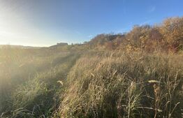 Teren intravilan in zona Sarmas in suprafata de 5332 mp