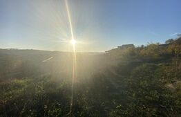 Teren intravilan in zona Sarmas in suprafata de 5332 mp