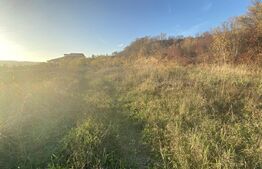 Teren intravilan in zona Sarmas in suprafata de 5332 mp