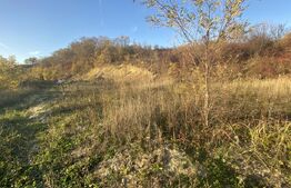 Teren intravilan in zona Sarmas in suprafata de 5332 mp